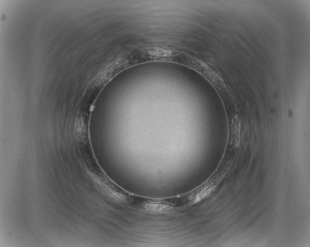 X0000085790614200703161125