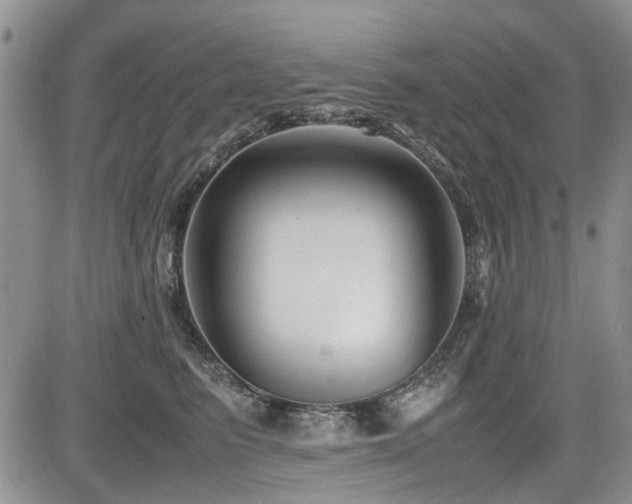 X0000085790615200703161125