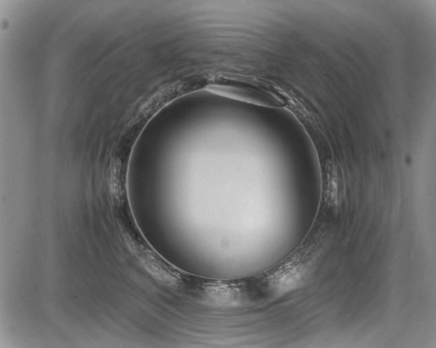 X0000085790616200703161125