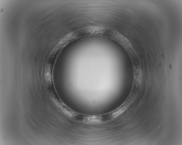 X0000085790622200703161125