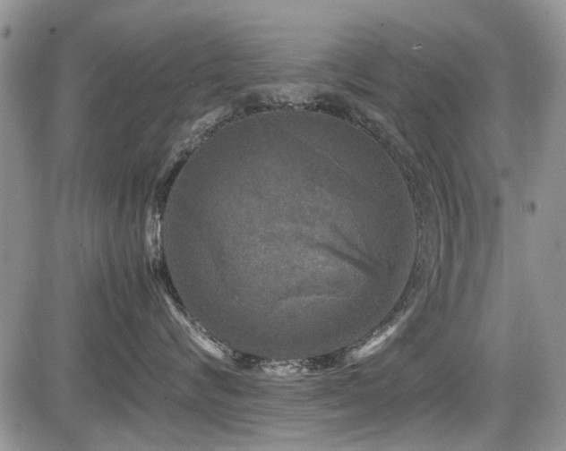 X0000085790624200703161125