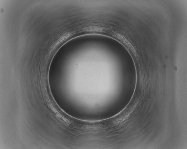 X0000085790625200703161124