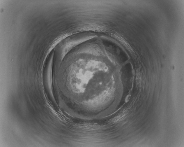 X0000085790626200703161124