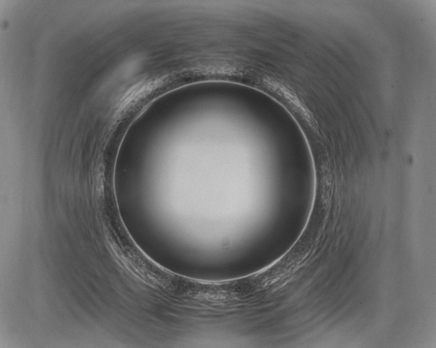 X0000085790631200703161124
