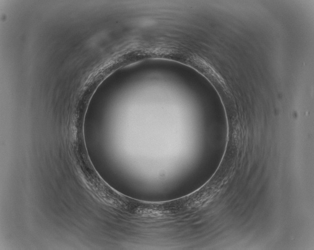 X0000085790635200703161125