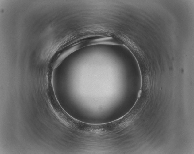 X0000085790638200703161125