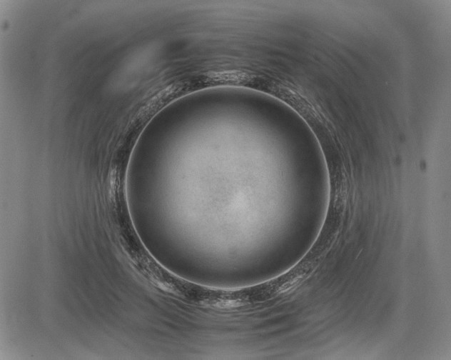 X0000085790647200703161125