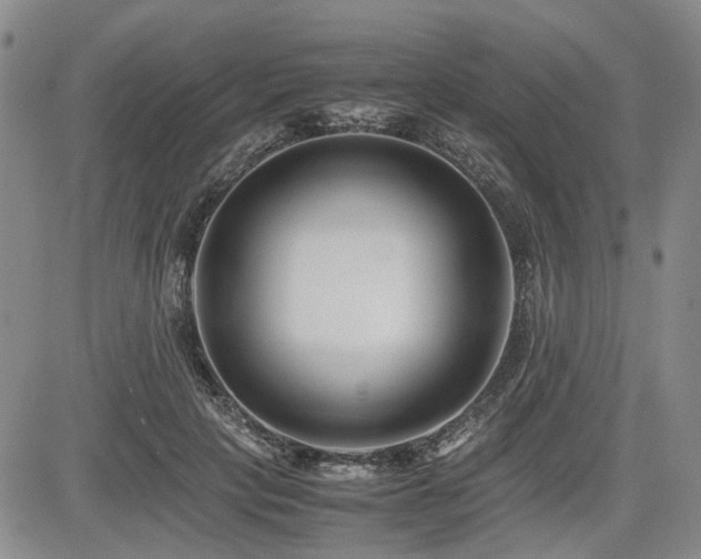 X0000085790649200703161125