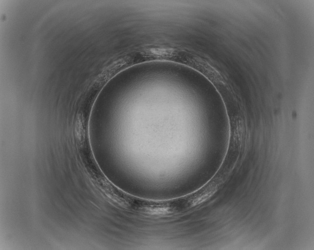 X0000085790651200703161125