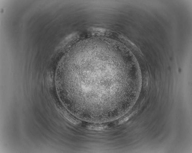 X0000085790661200703161125