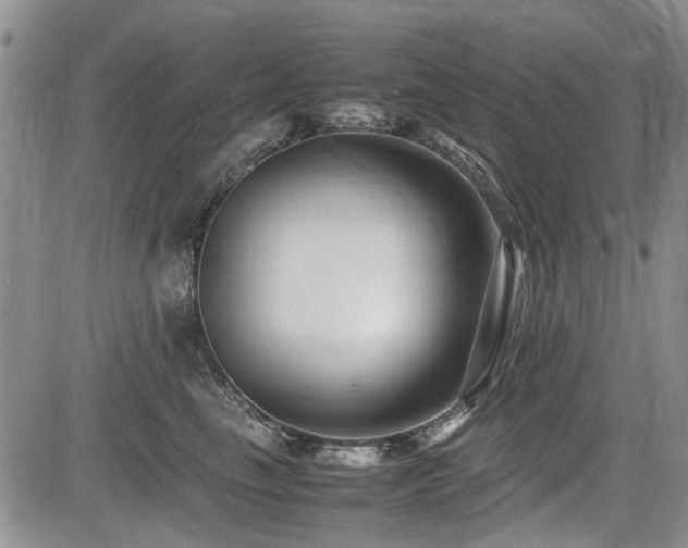 X0000085790665200703161125
