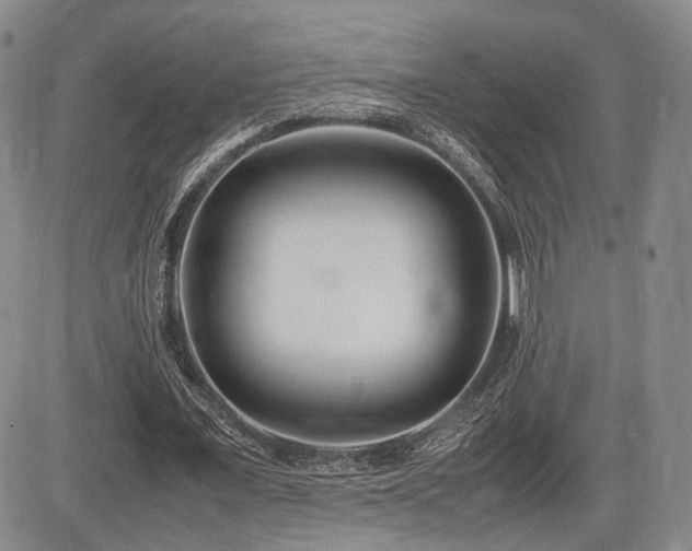 X0000085790675200703161124