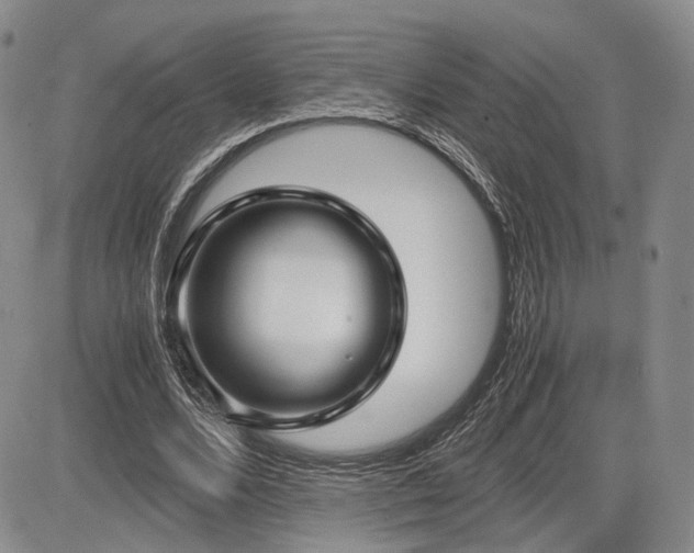 X0000085790680200703161124