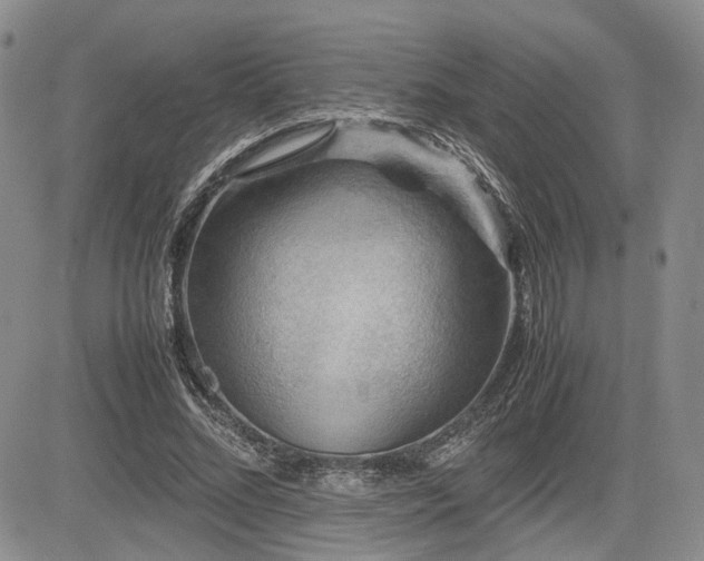X0000085790684200703161124