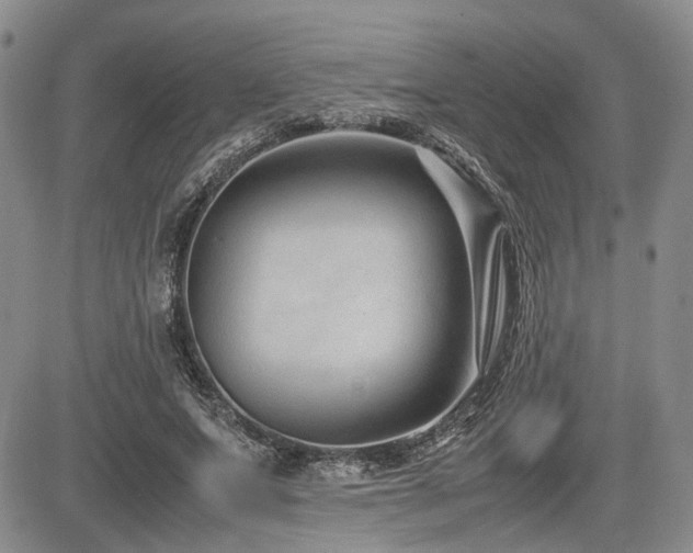 X0000085790687200703161124
