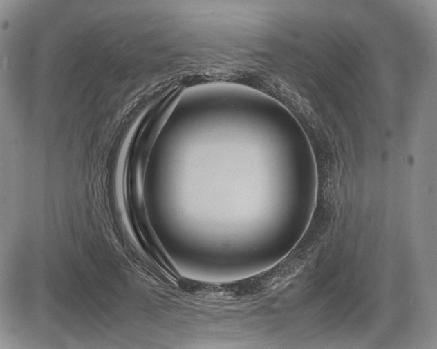 X0000085790689200703161124