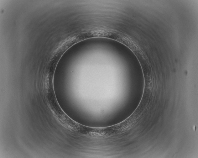 X0000085790690200703161124