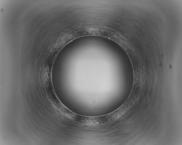 X0000085790702200703161124