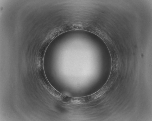 X0000085790706200703161124