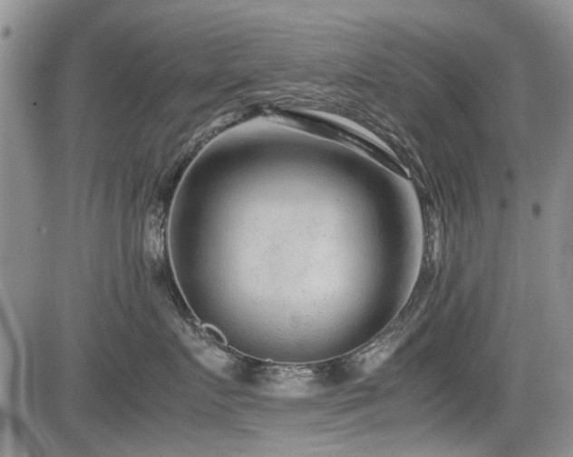 X0000085790719200703161124