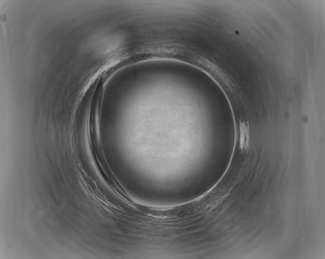 X0000085790723200703161123