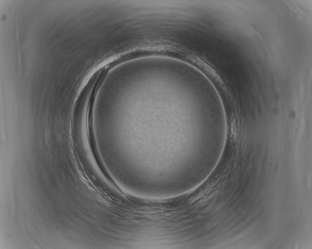 X0000085790724200703161123