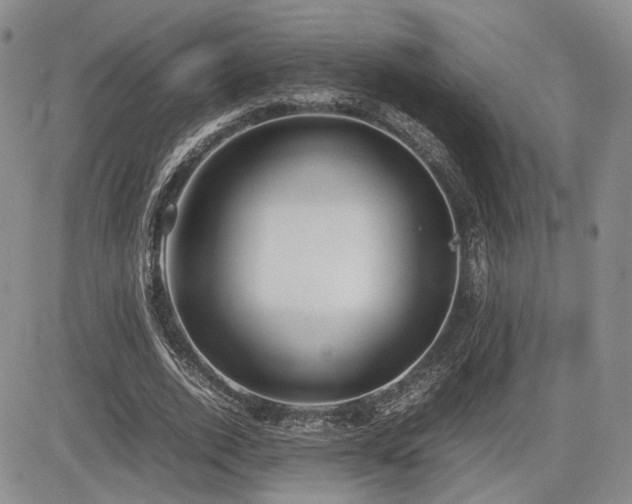 X0000085790728200703161123