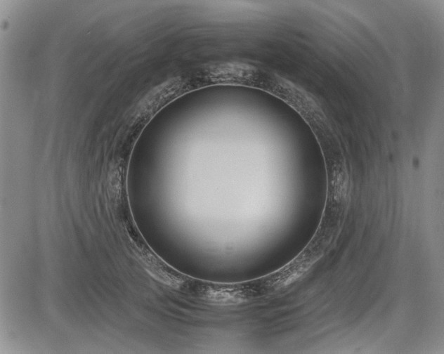 X0000085790753200703161123