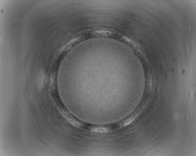 X0000085790759200703161123