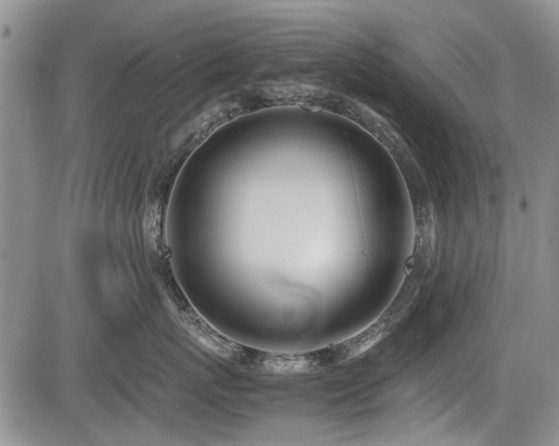 X0000085790767200703161123