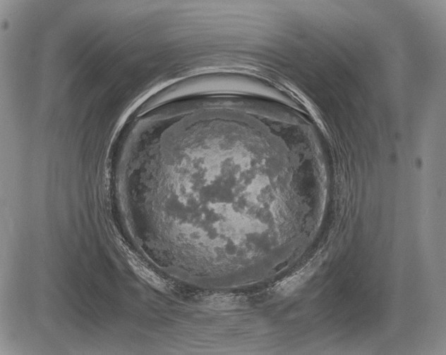 X0000085790779200703161122