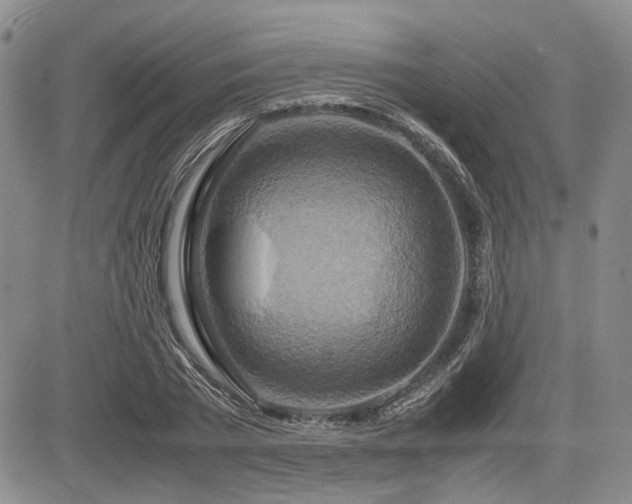 X0000085790785200703161122