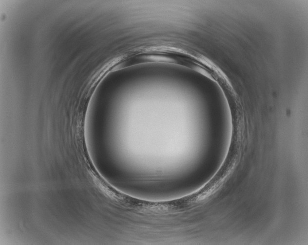 X0000085790801200703161122