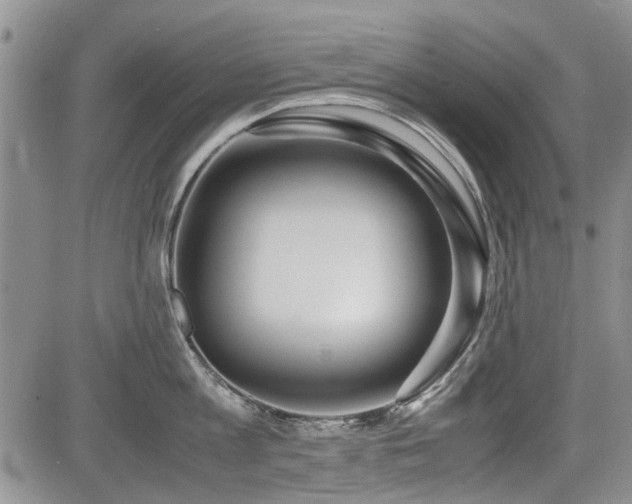X0000085790813200703161122