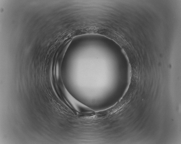 X0000085790818200703161121
