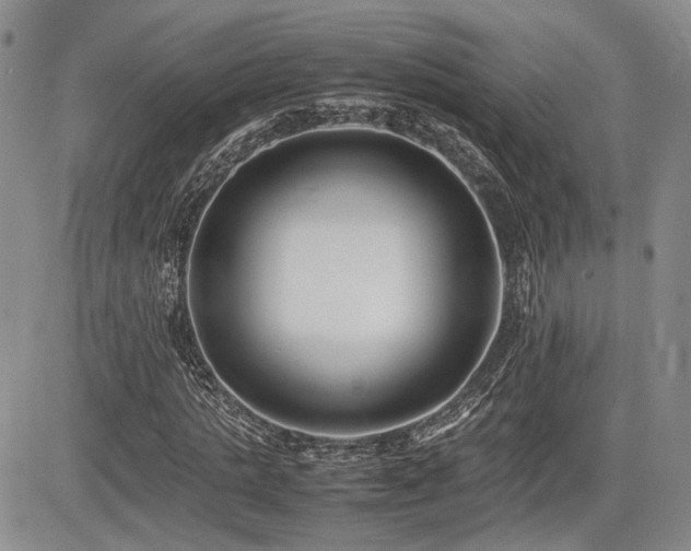 X0000085790821200703161121
