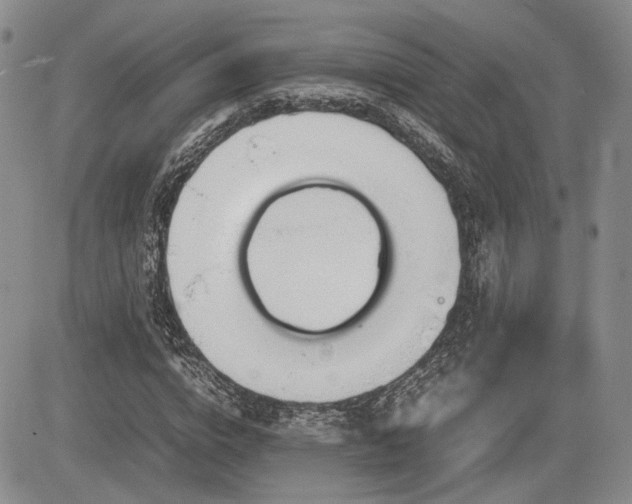 X0000085790824200703161121