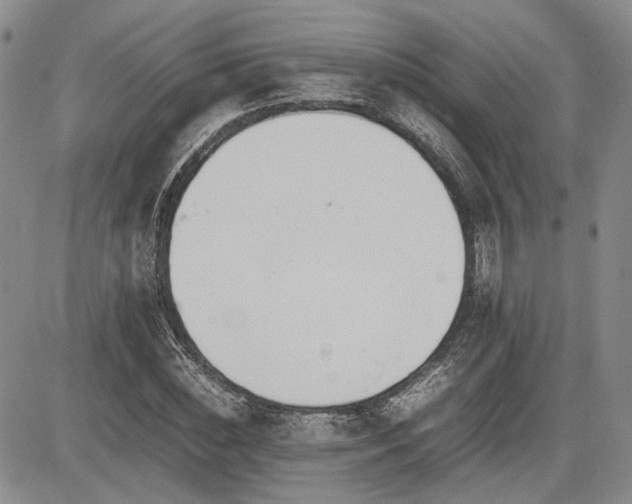 X0000085790828200703161121