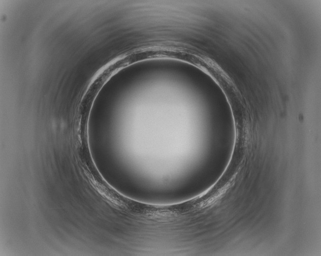 X0000085790830200703161121