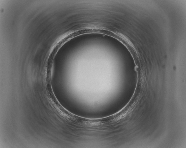 X0000085790831200703161121