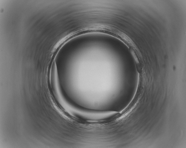 X0000085790842200703161121
