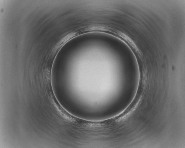 X0000085790849200703161122