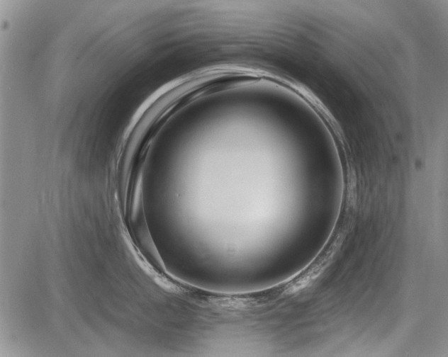 X0000085790862200703161122