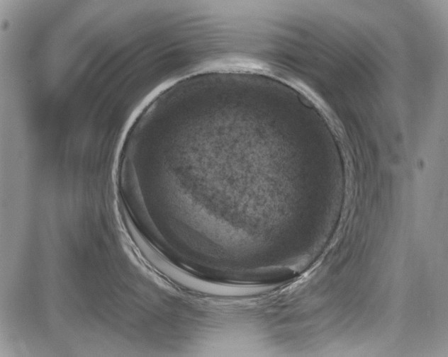 X0000085790864200703161122
