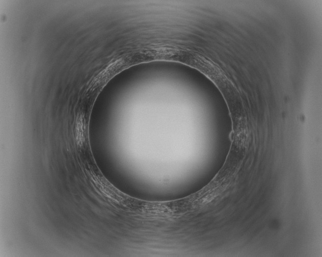 X0000085790866200703161121