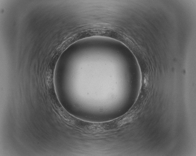 X0000085790867200703161121