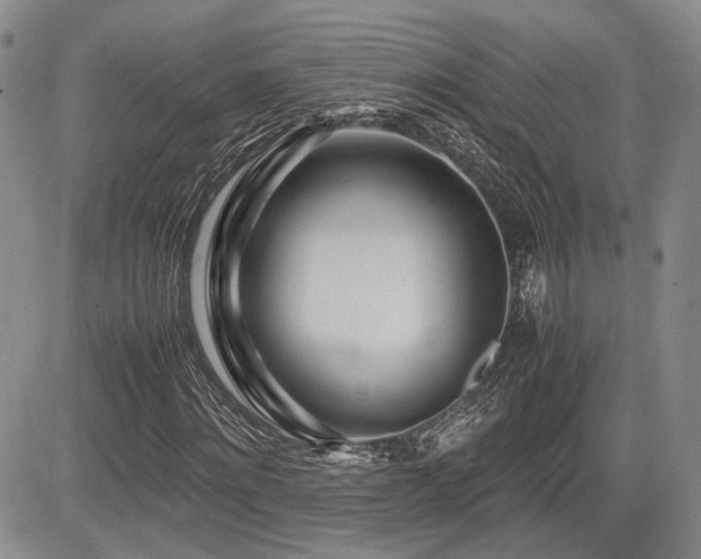 X0000085790868200703161121