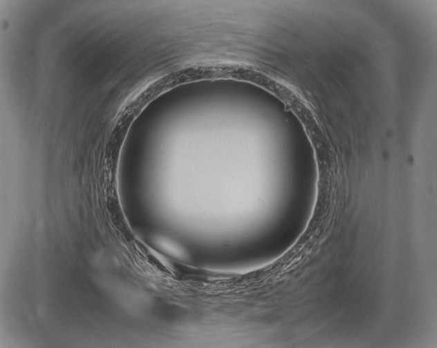X0000085790871200703161121