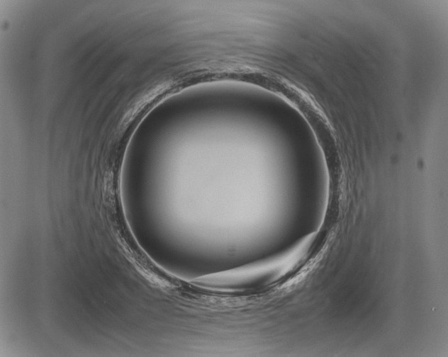 X0000085790881200703161121