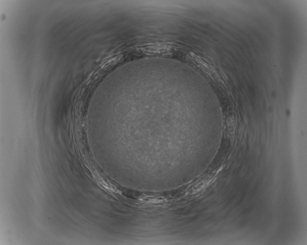 X0000085790913200703161119
